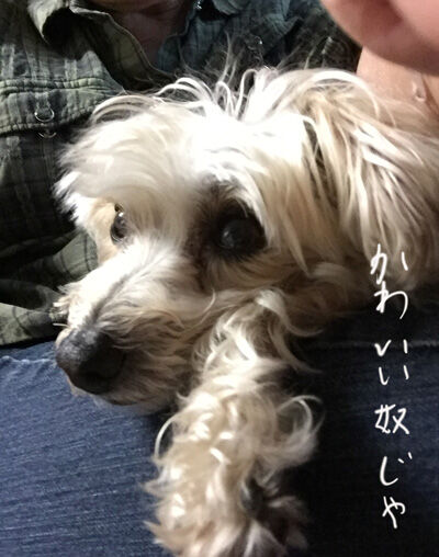 2020-08-04-rasta2