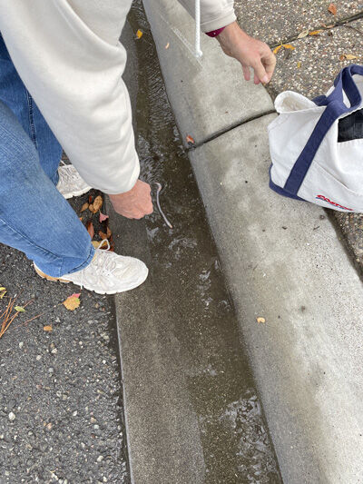 2023-12-20-walk1