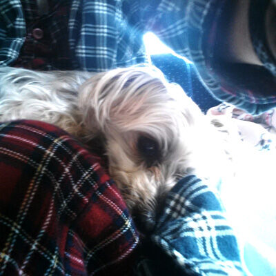 2020-12-13-rasta1