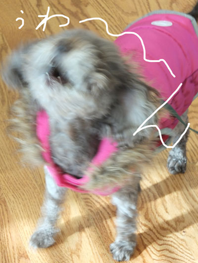 2019-12-26-judy3