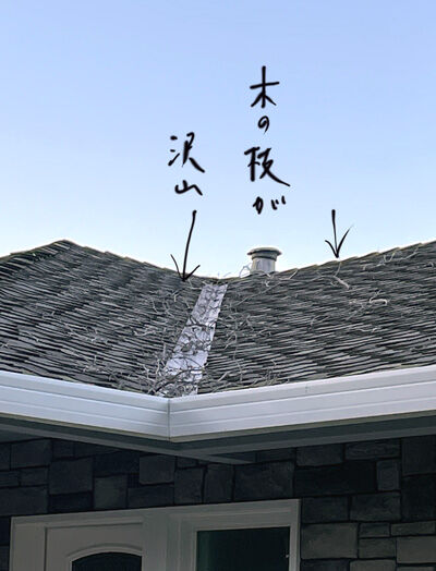 2023-01-31-roof1