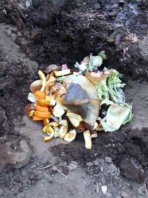 2014-06-10-compost