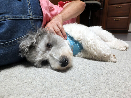 2025-10-02-charlie1