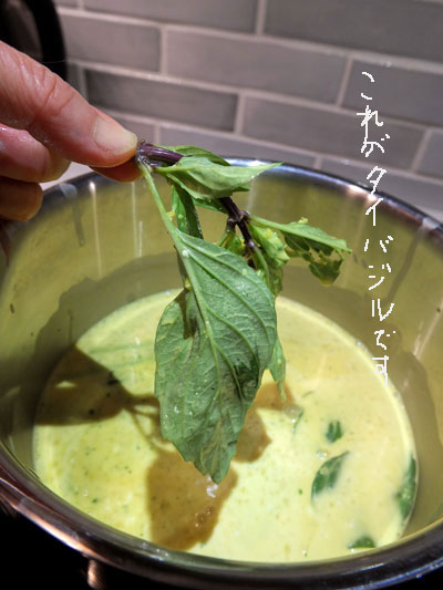 2017-01-05-thaicurry6