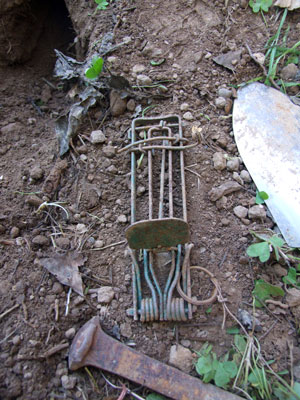 2013-02-24-trap