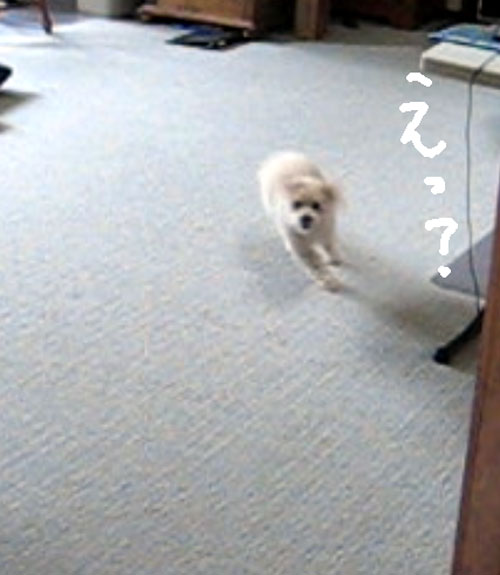 2018-01-27-chibi26