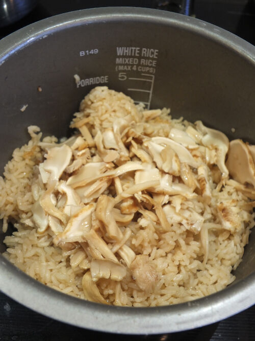 2026-10-13-matsutake6