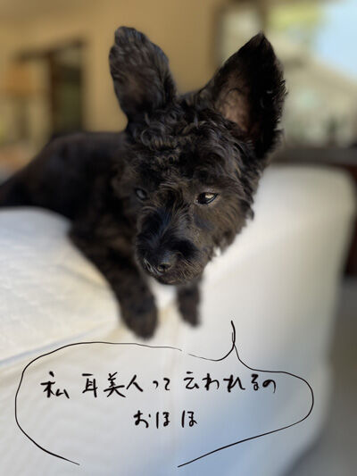 2024-07-13-kiki1