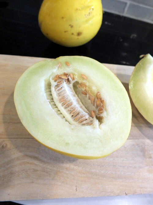 2025-10-15-cupertino2