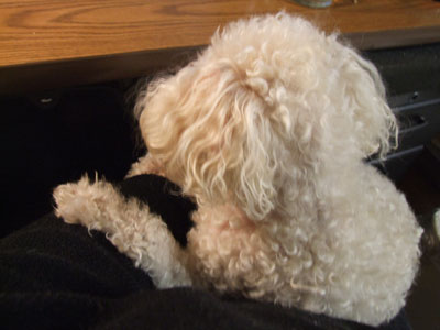 2014-02-21-chib4