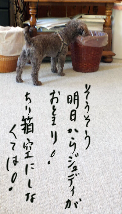2021-07-30-judy1