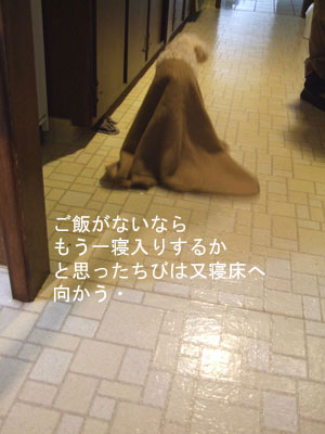 2013-01-05-chibiwalking1