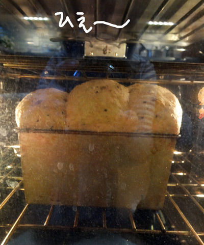 2019-06-15-bread2