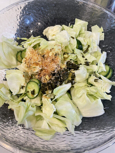 2024-04-23-cabbage1