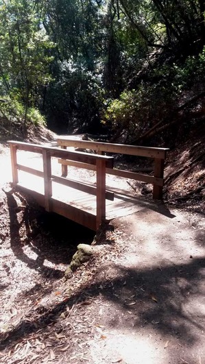 2014-06-25-bridge