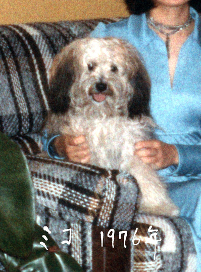 2024-12-05-nixplay7