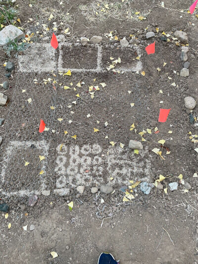 2024-12-07-eggshell7