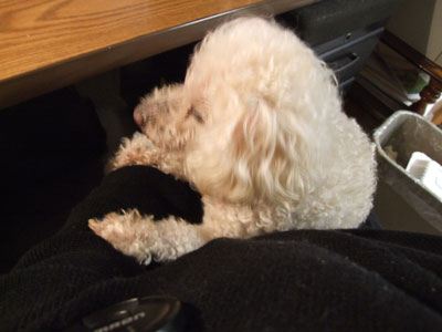 2014-02-21-chib3