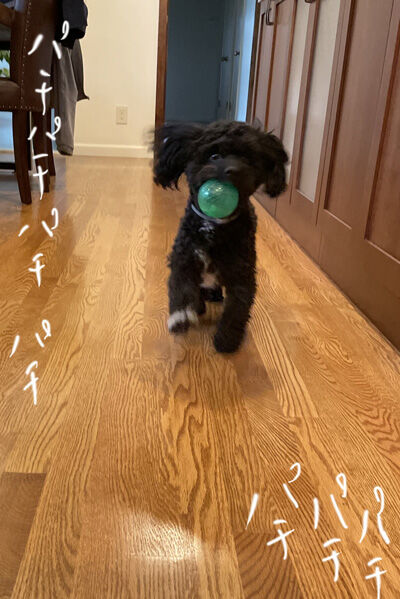 2021-12-15-oreo3