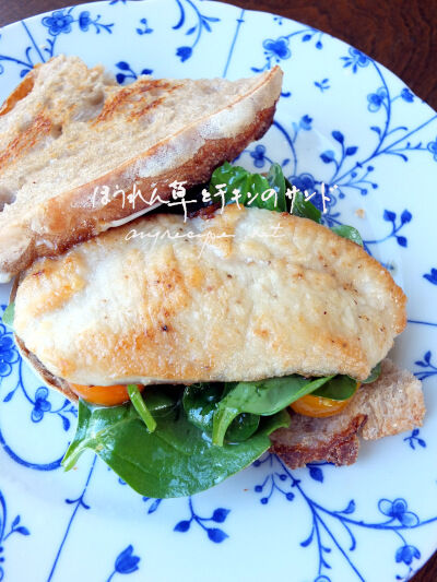 2025-02-20-spinachchicken5