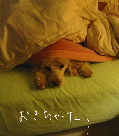 2020-03-08-chibi2