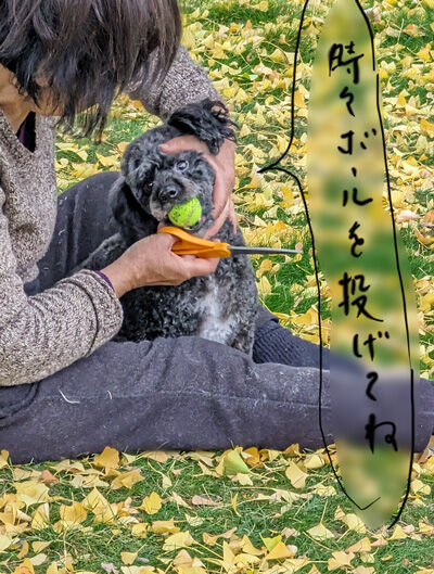 2024-02-18-oreo3