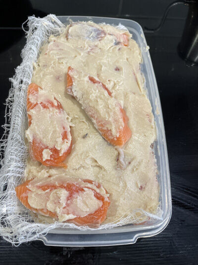 2023-03-salmon6