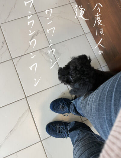 2022-02-11-oreo3