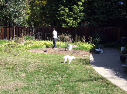 2015-02-23-veggiegarden