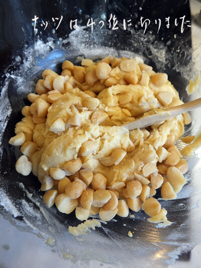 2020-10-13-macadamia4