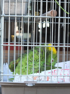 DSCF0770