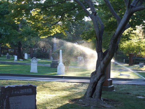 2025-01-30-cemetery3