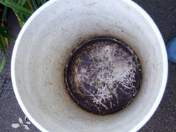 2014-01-29-raingage7