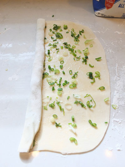 2017-01-09-onionpancake4