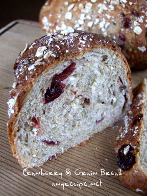 2013-03-06-cranberrybread1