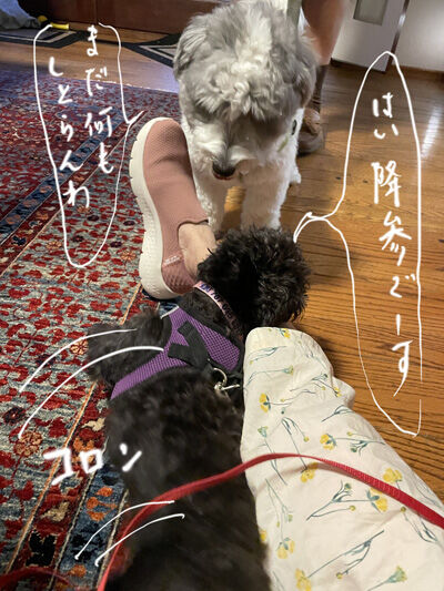 2024-07-16-kiki2