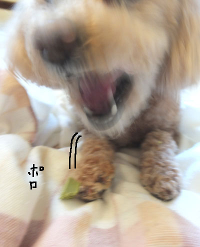 2017-03-17-an7