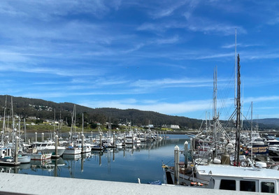 2026-03-01-halfmoonbay7