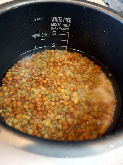 2026-09-07-lentil4