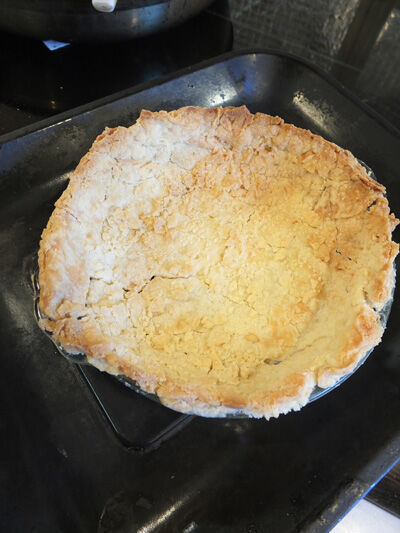 2021-06-10-pie5