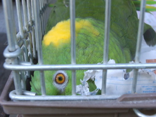 DSCF0763