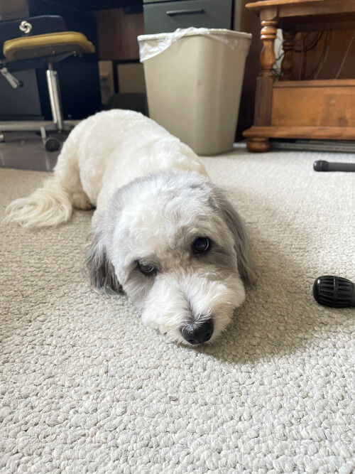 2026-09-29-charlie1