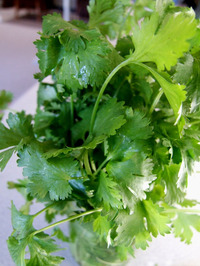 2010_08_14_1week2