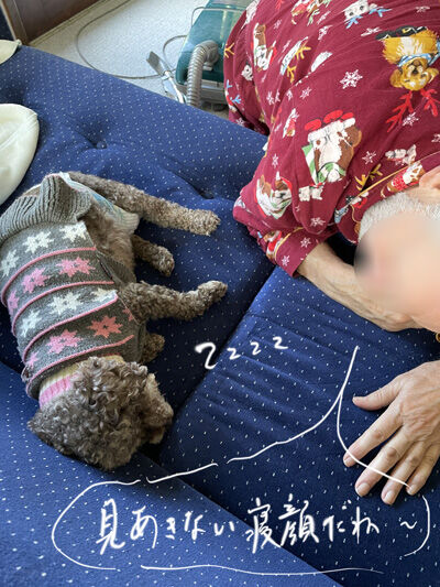 2023-01-19-judy1