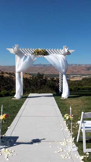 2014-07-05-wedding1