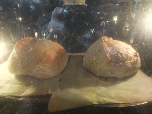 2025-02-12-bread7