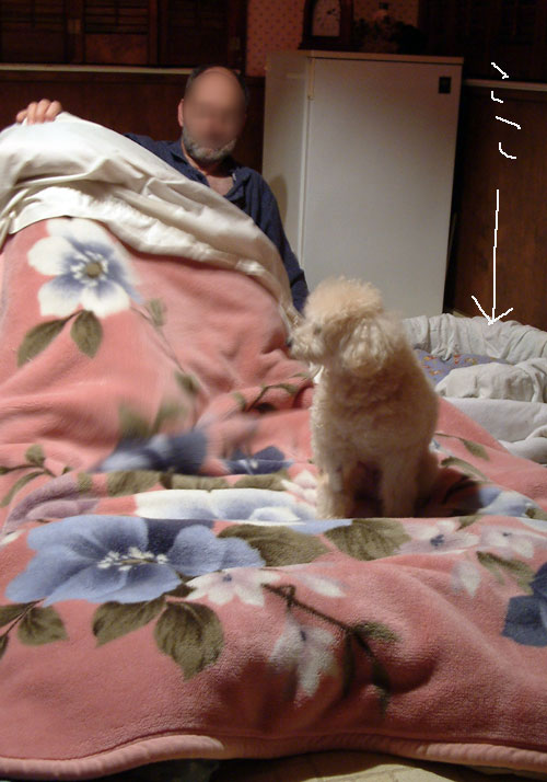 2017-01-27-chibi2