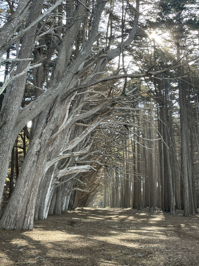 2026-03-01-halfmoonbay3