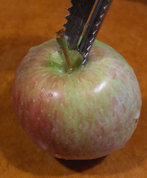 2011_08_30_applesauce2