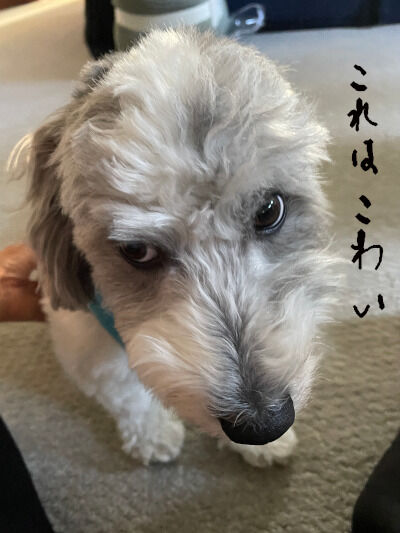 2025-06-24-charlie2